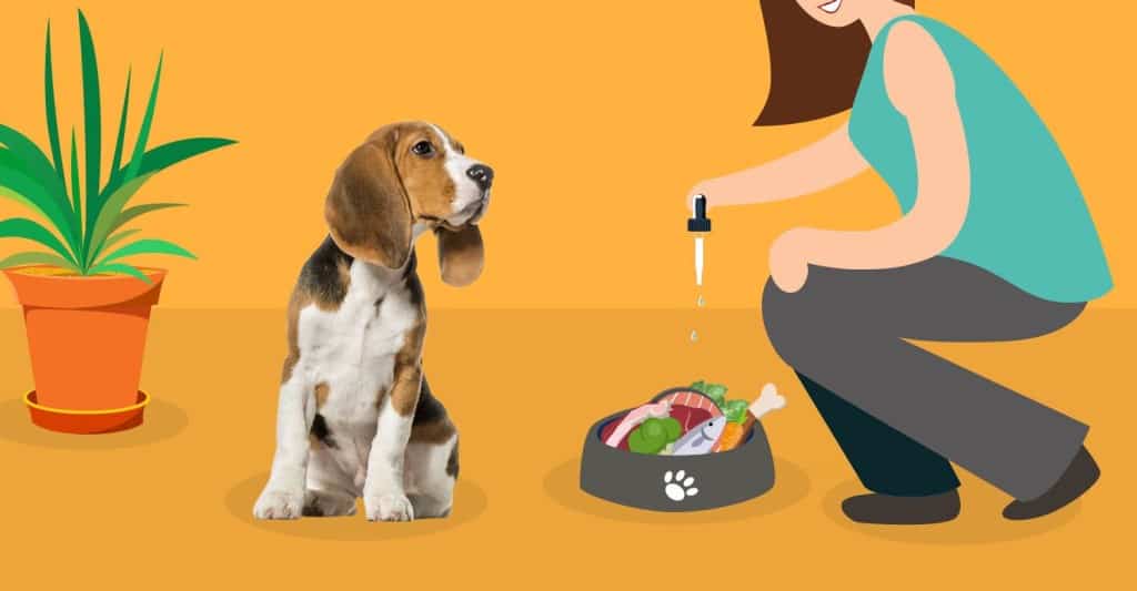 how much cbd oil for dogs