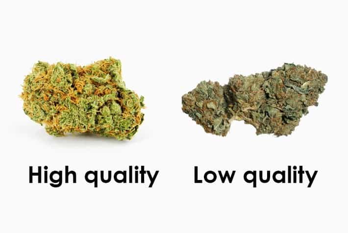 Low Quality weed