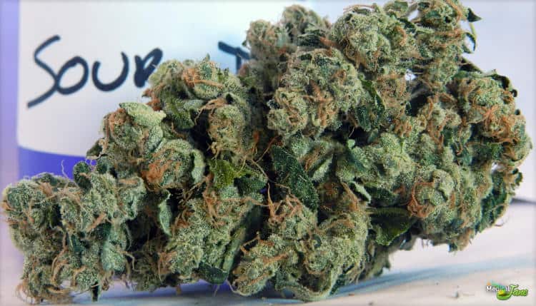 sour diesel marijuana for adhd