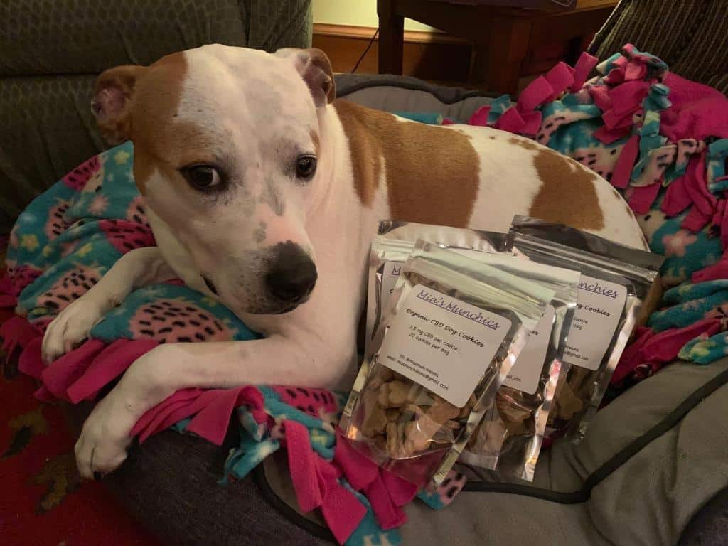 cbd pet munchies