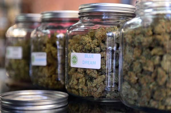 marijuana clinic 