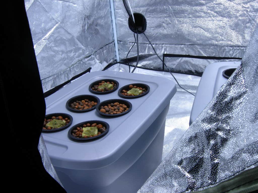 Indoor grow tent