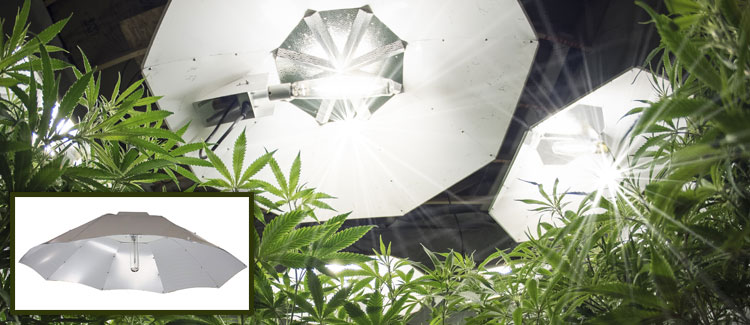 Grow light reflectors