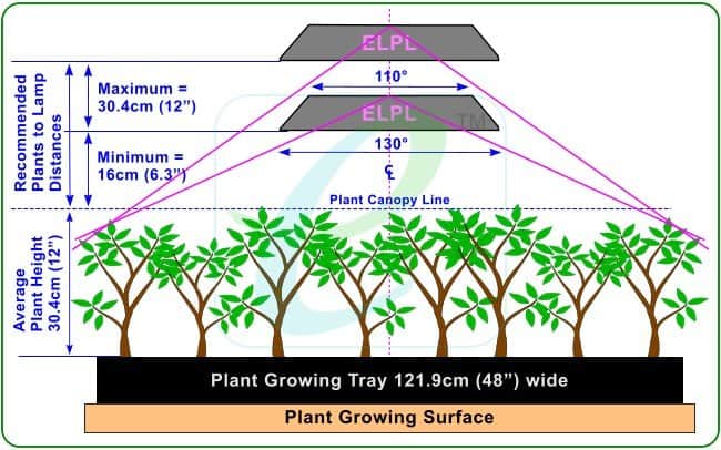 diagram showing height of grow lights vs plant canopy line
