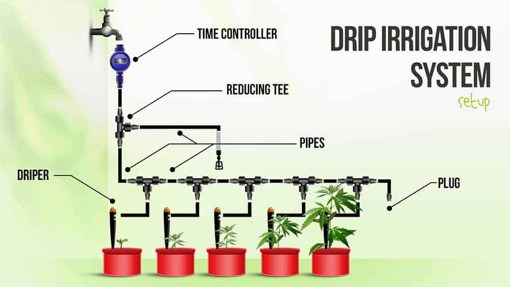 diagram of drip irrigation hydroponic system
