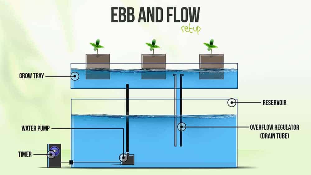 diagram of ebb and flow hydroponic system