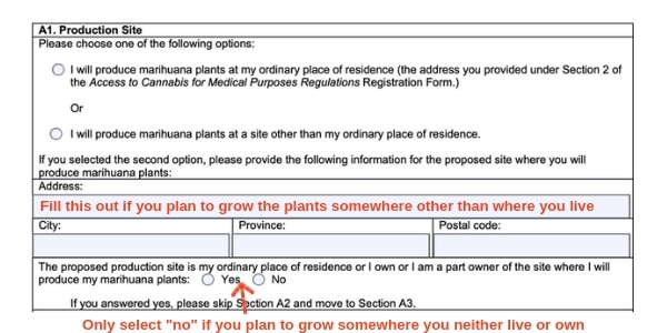 example canada marijuana license form production site