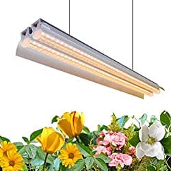 monios l t5 led grow light